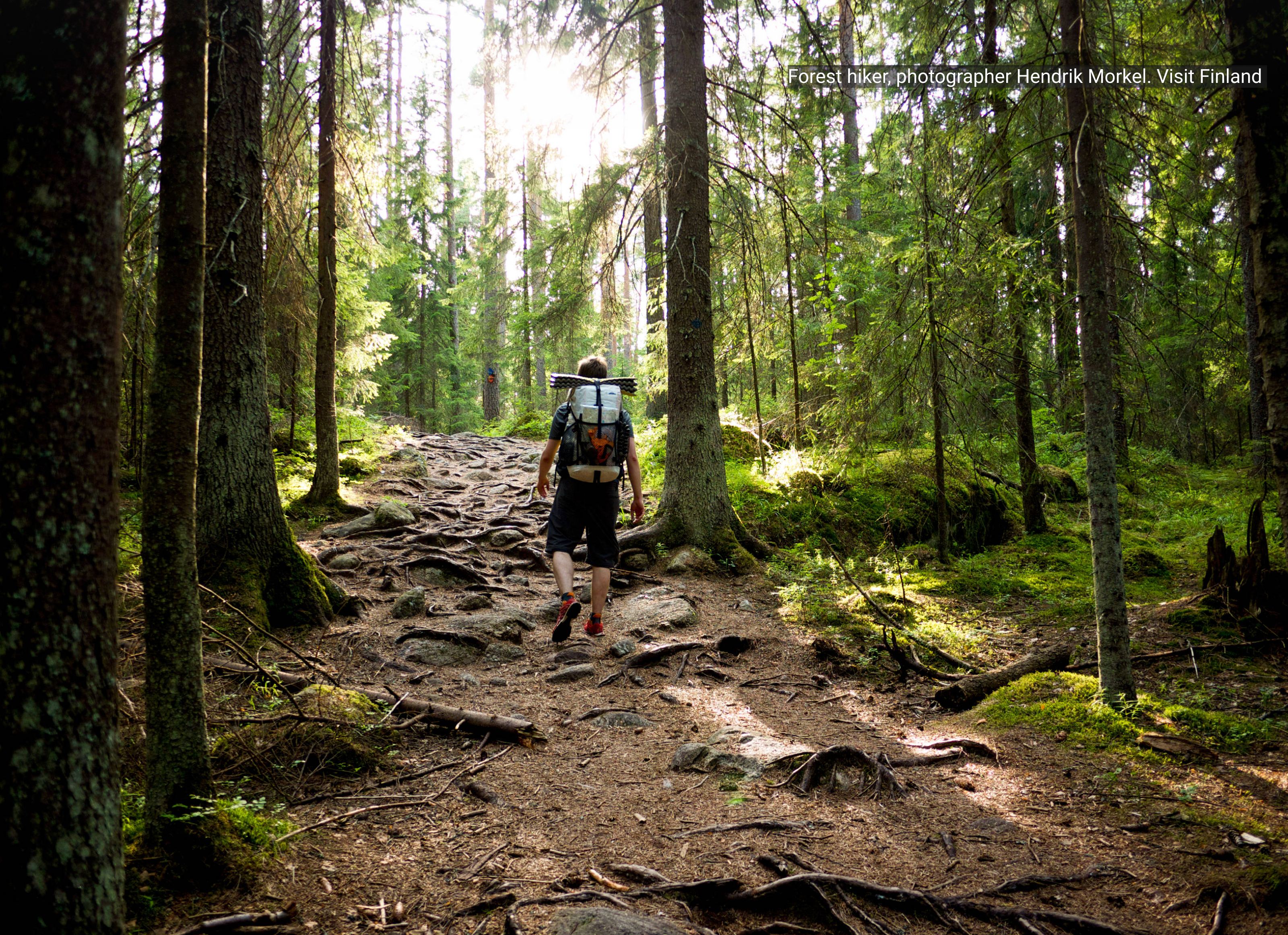 Finnish Forest Hike and Helsinki Sightseeing